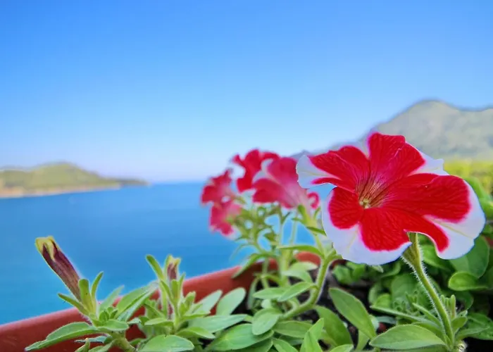 Filipovi - One-bedroom With Balcony And Sea View A1 Lejlighed Sobra