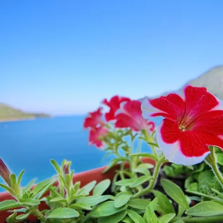 Filipovi - One-bedroom With Balcony And Sea View A1 Appartement Sobra